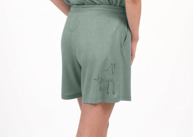Chestnut Bay Dream On Boxers