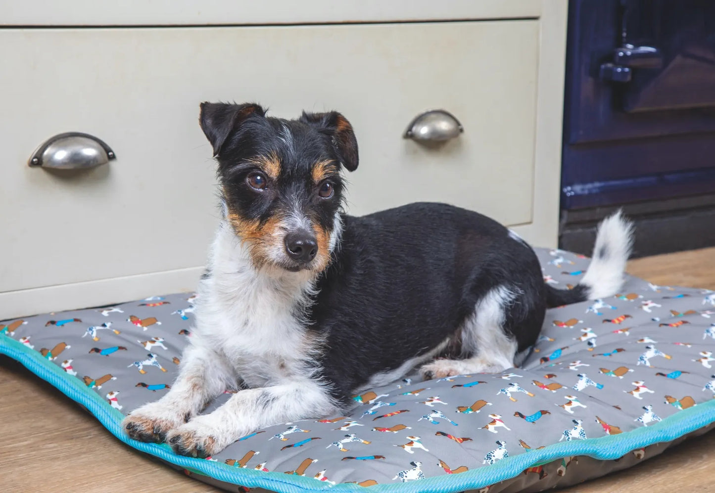 Digby & Fox Waterproof Dog Bed**