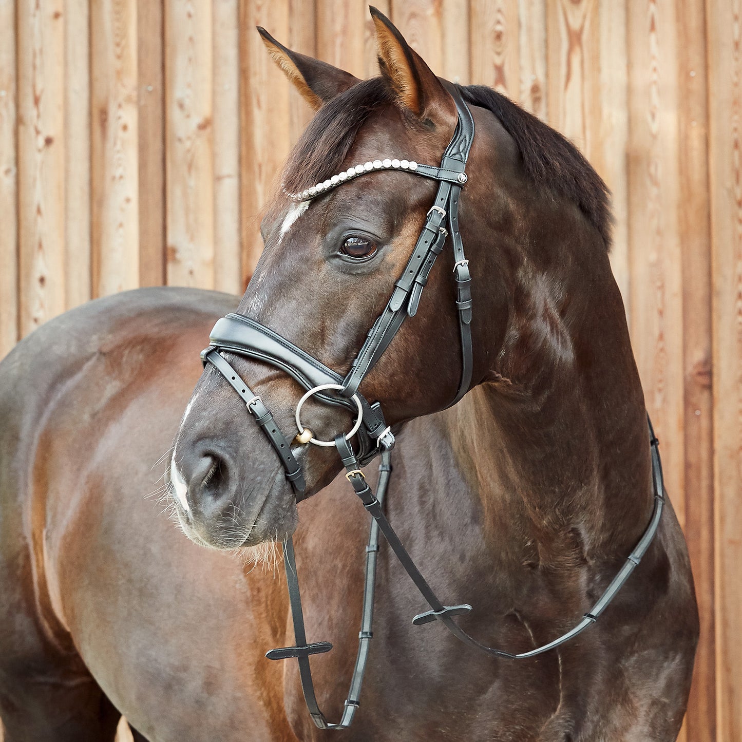 Horze Somerset Bridle