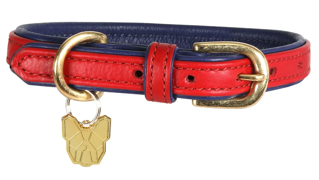 Digby & Fox Padded Leather Dog Collar**