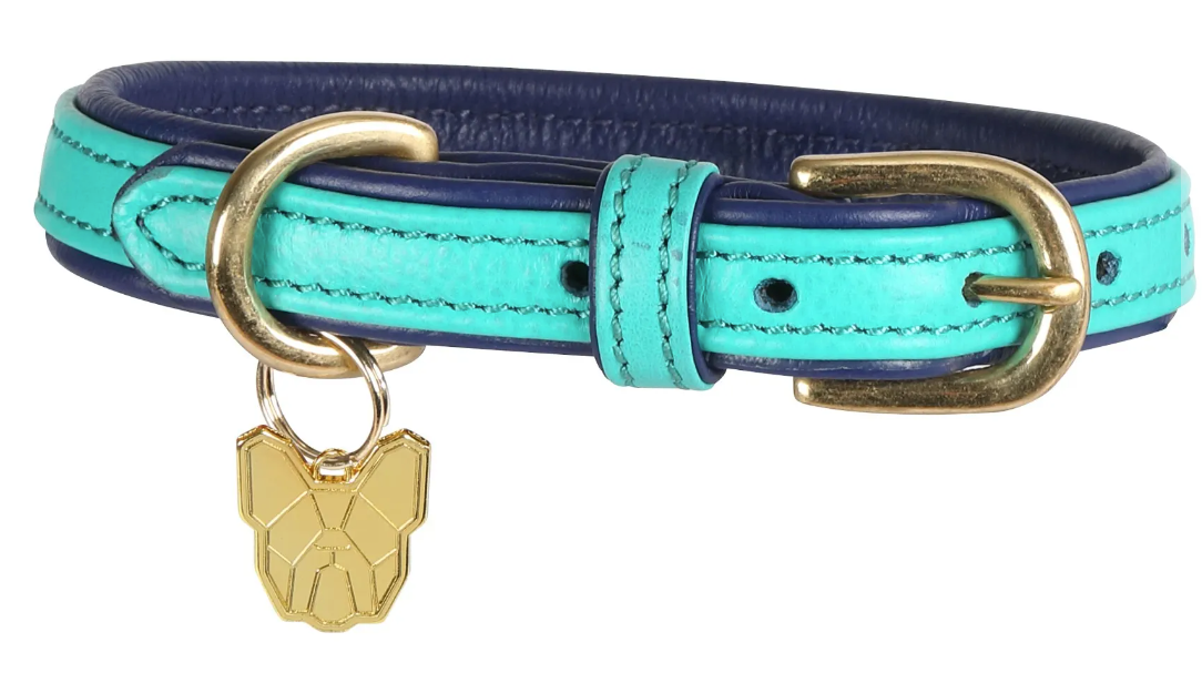 Digby & Fox Padded Leather Dog Collar**