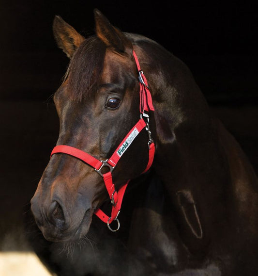 Horseware Field Safe Headcollar