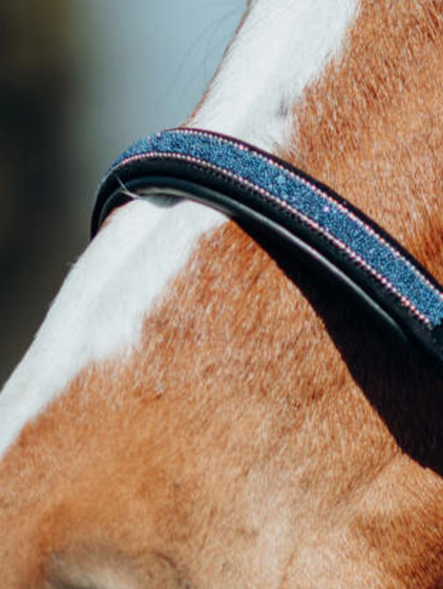 Horze Leather Halter with Crystal Nose Band