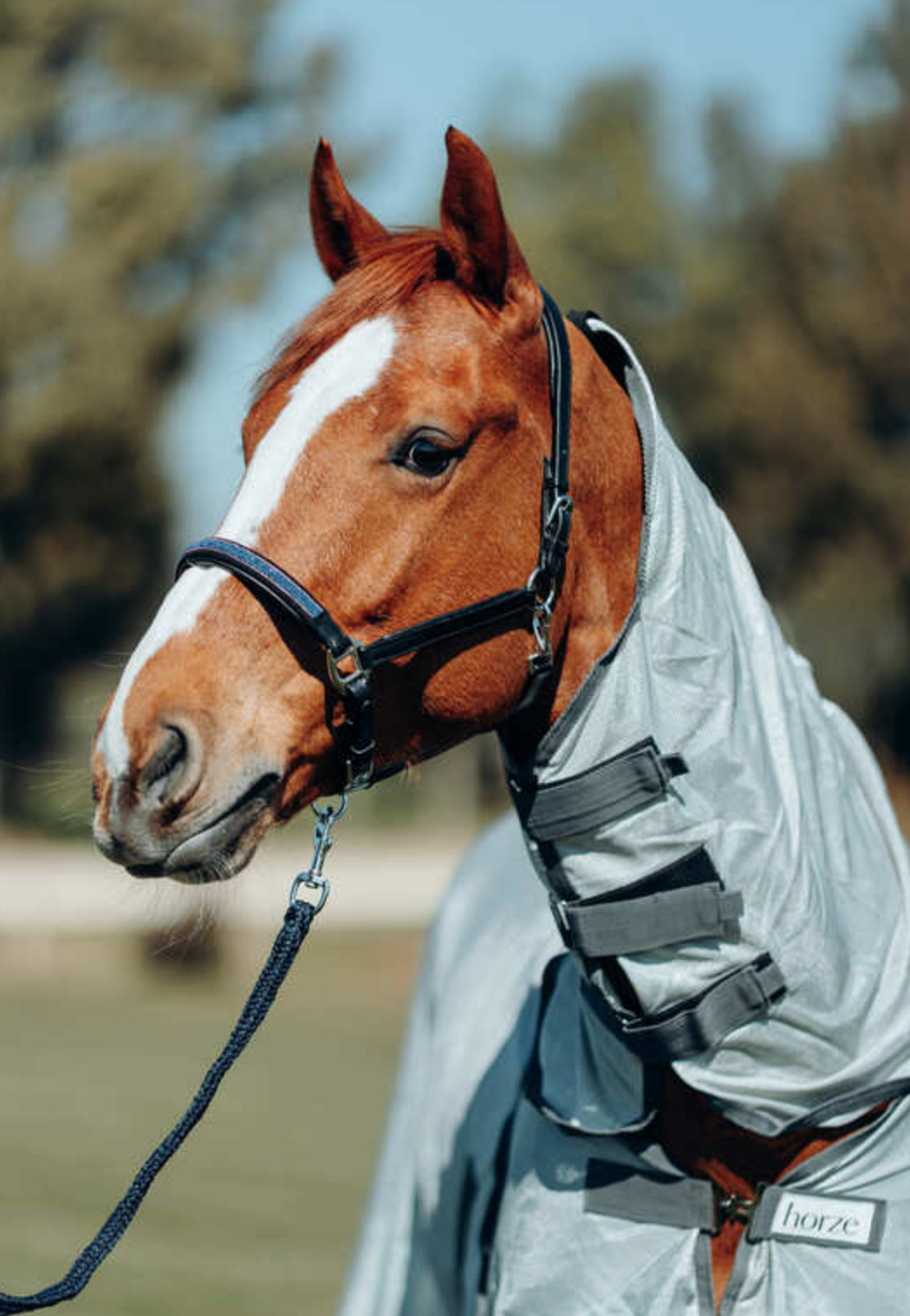 Horze Leather Halter with Crystal Nose Band