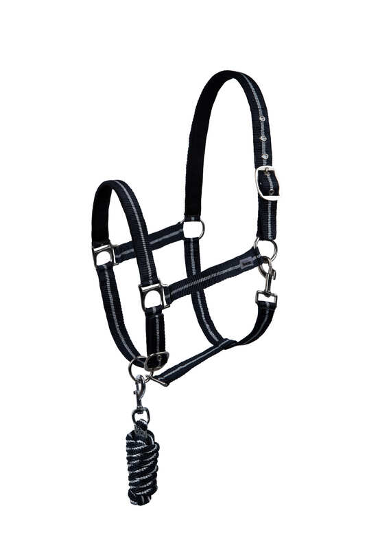 Horze Halter & Lead Set with Metallic Stripe