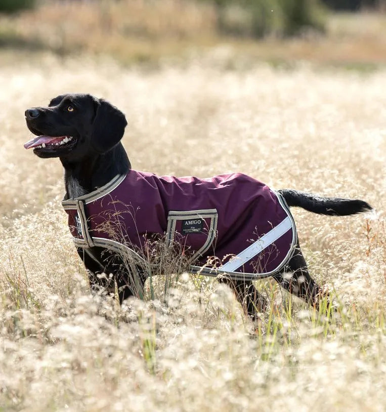Horseware Amigo Dog Rug Ripstop
