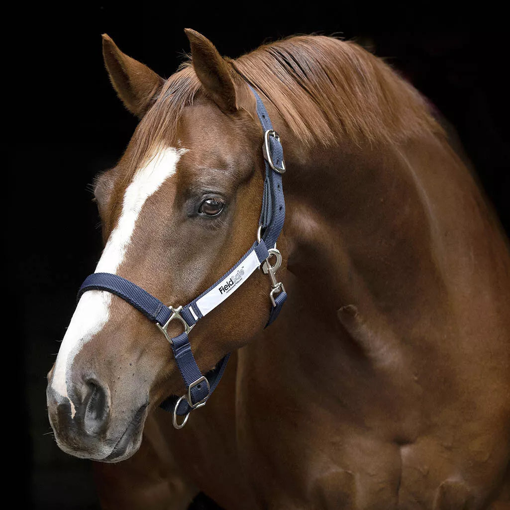Horseware Field Safe Headcollar
