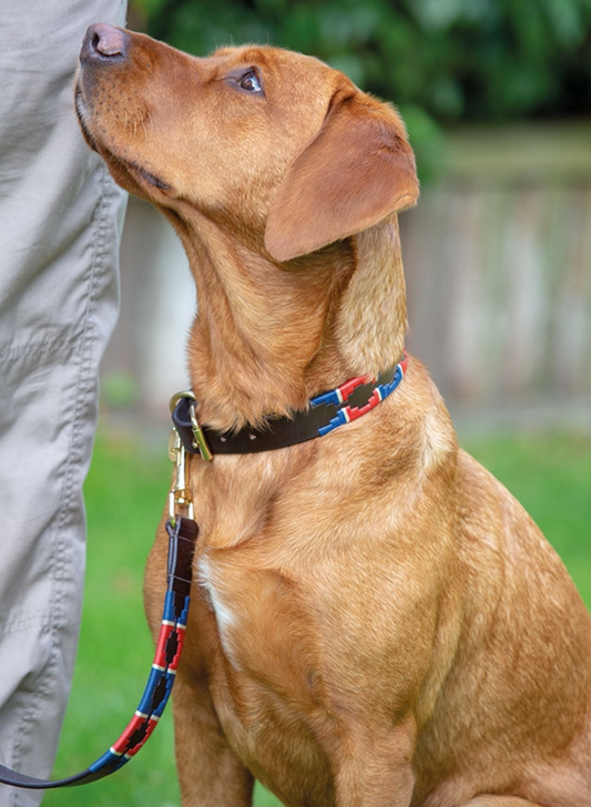 Shires Drover Polo Dog Collar OR Lead**