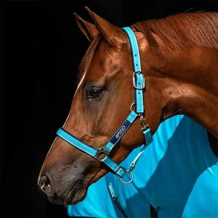 Horseware Amigo Headcollar
